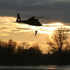 Der Abendsonne entgegen