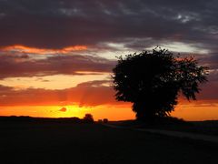 Der Abendsonne entgegen