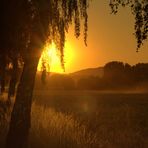 ...der Abendsonne entgegen...: ...die Romantik der Landstraße...