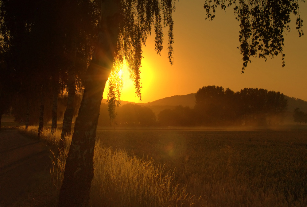 ...der Abendsonne entgegen...: ...die Romantik der Landstraße...