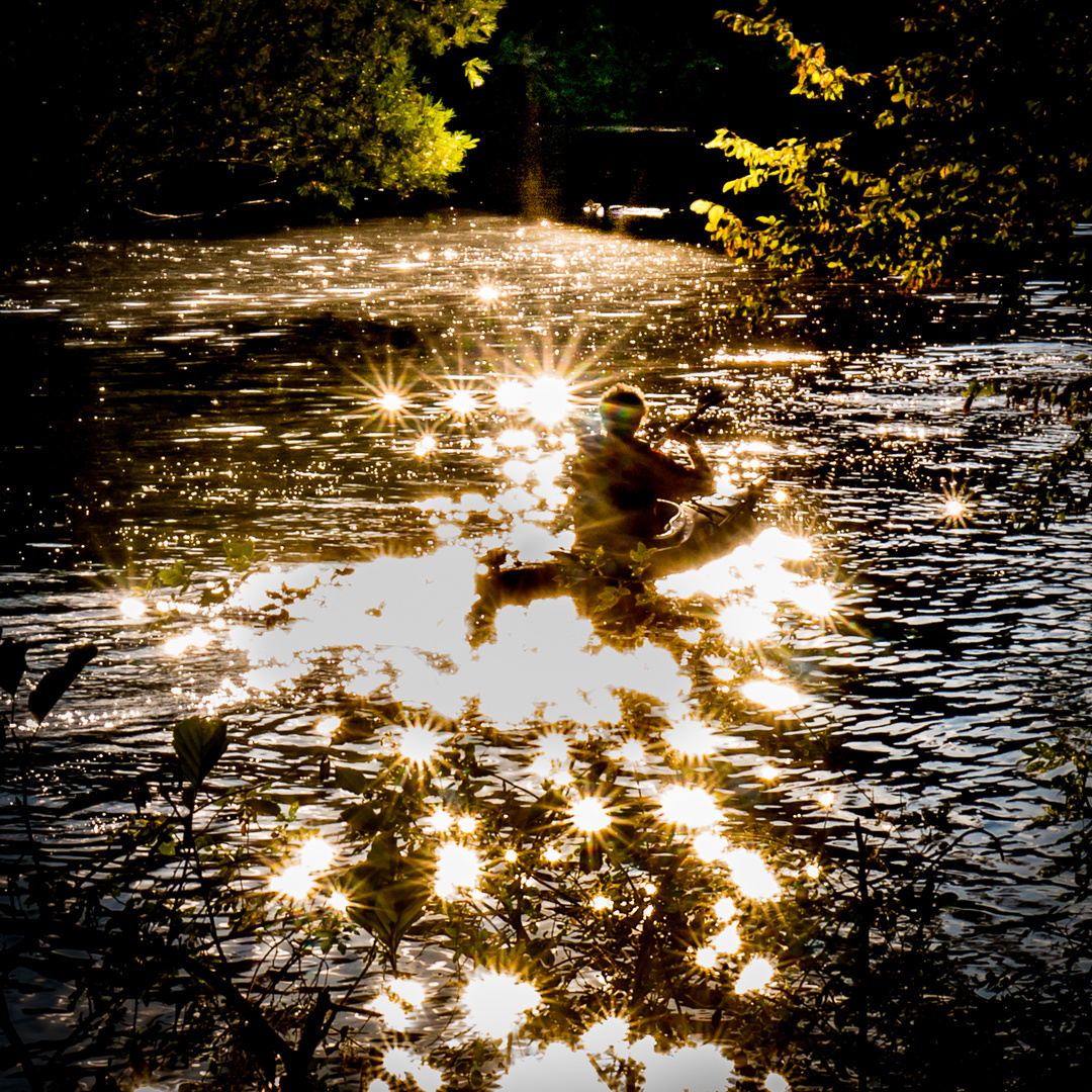 der Abendsonne entgegen - Hannover