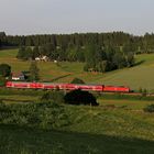 Der Abendzug im Groppertal