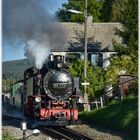 Der Abendzug nach Oberwiesental