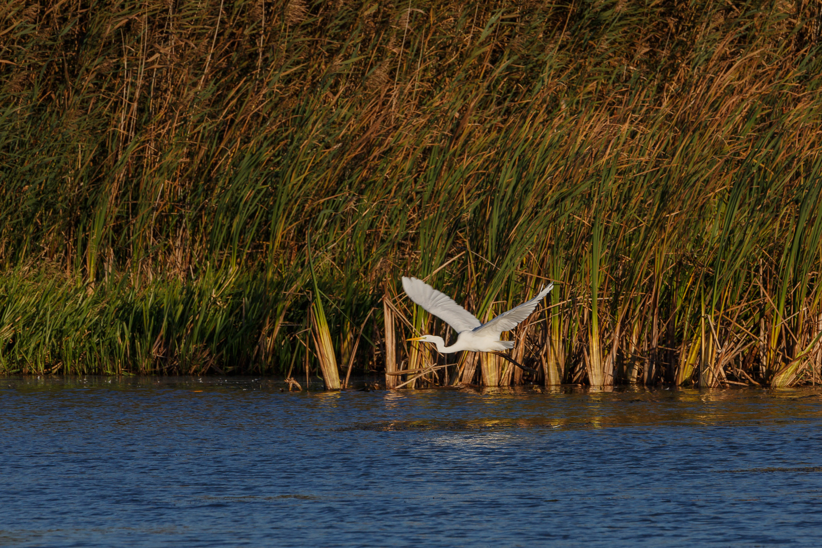 der Abflieger II