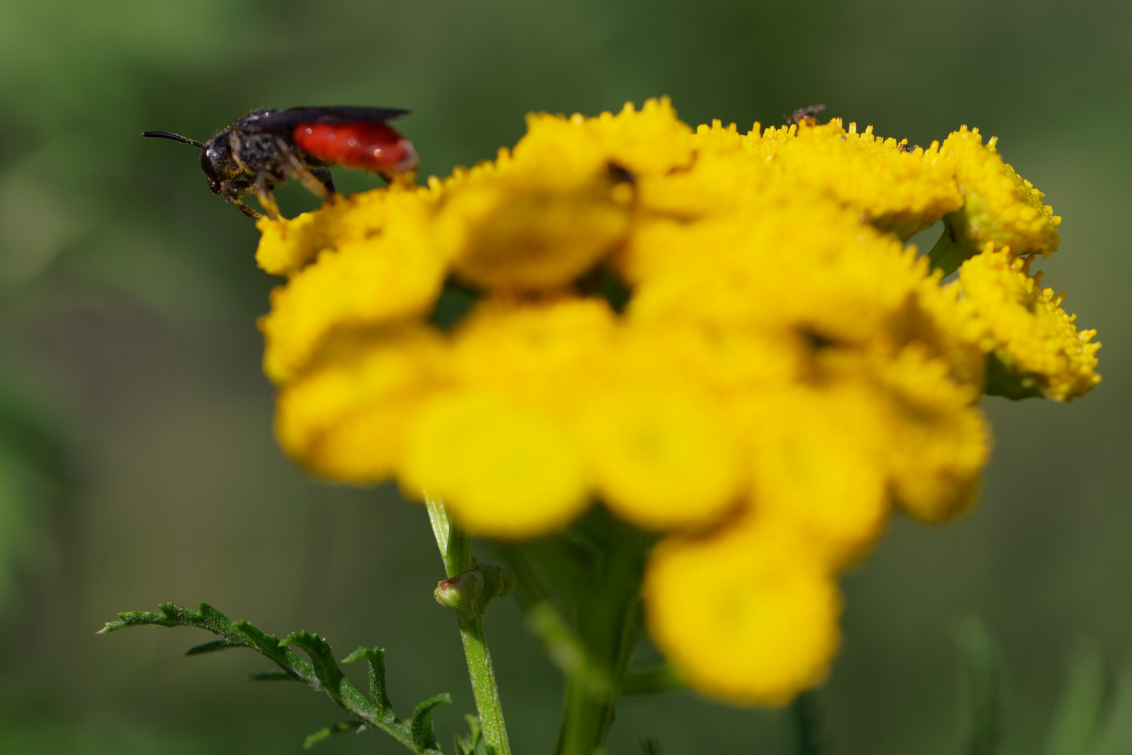 Der Abflug