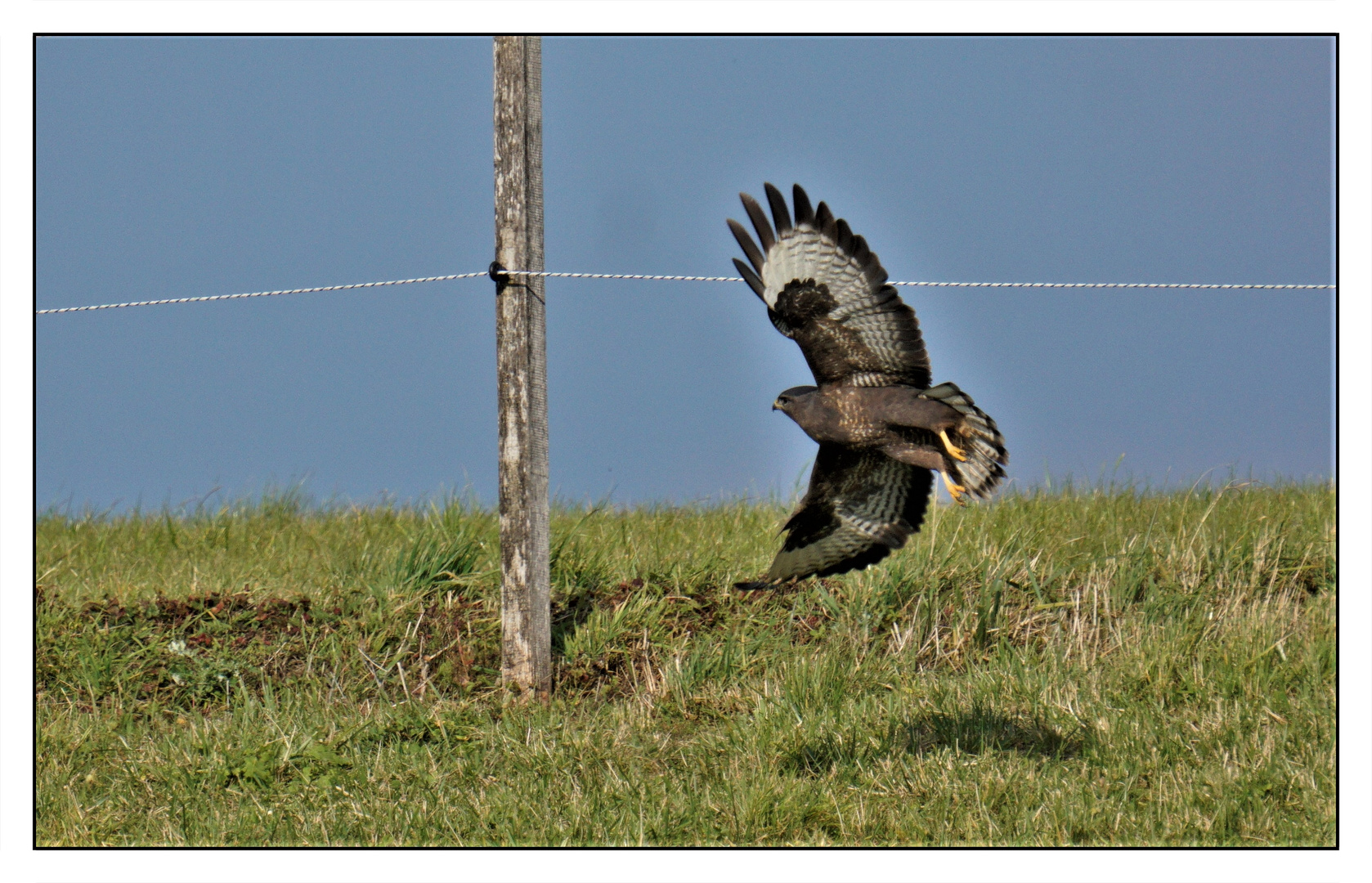 Der Abflug 