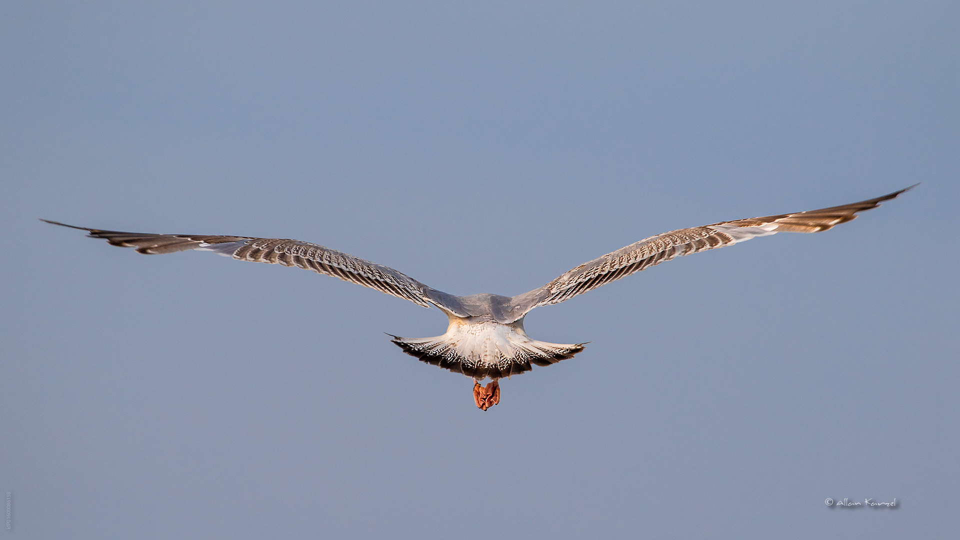 Der Abflug