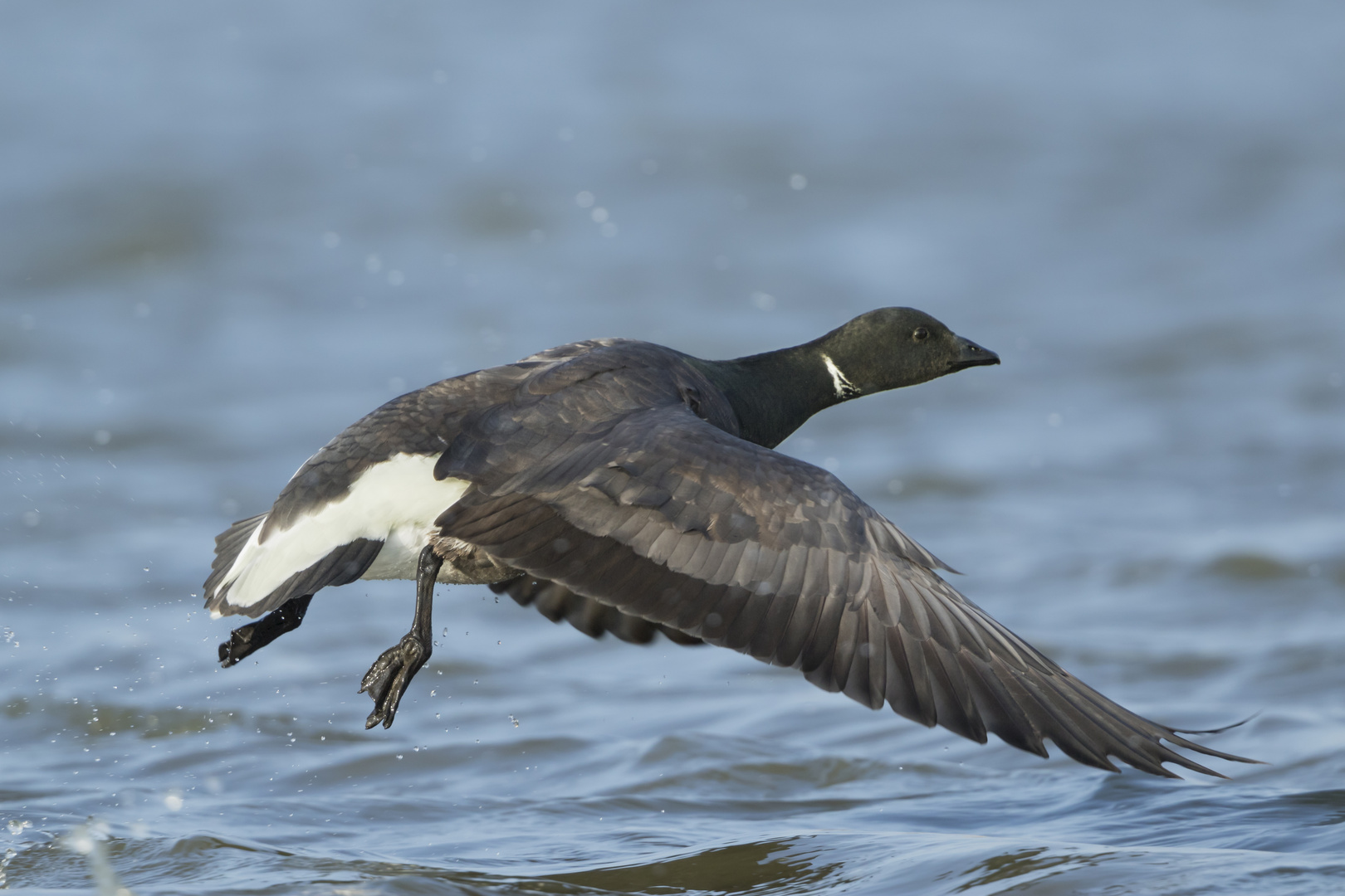 Der Abflug 