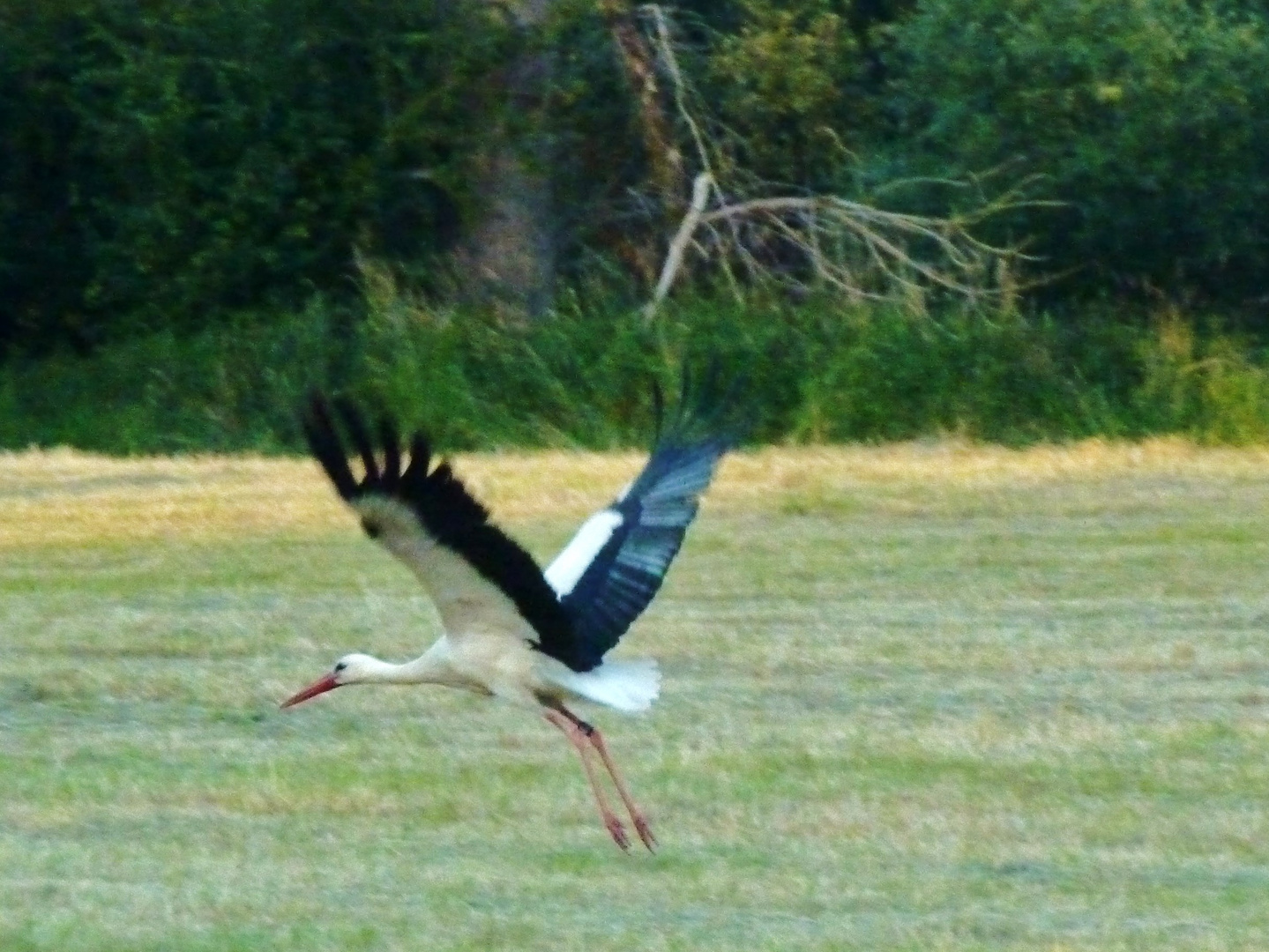 Der Abflug