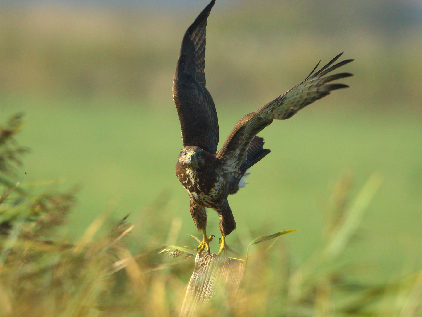 Der Abflug