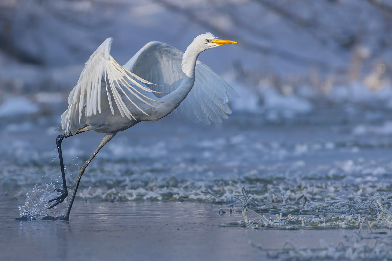 Der Abflug