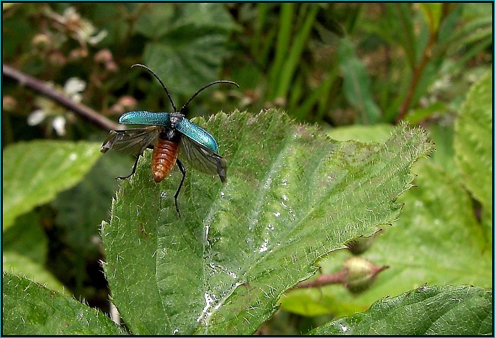 Der Abflug