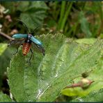 Der Abflug