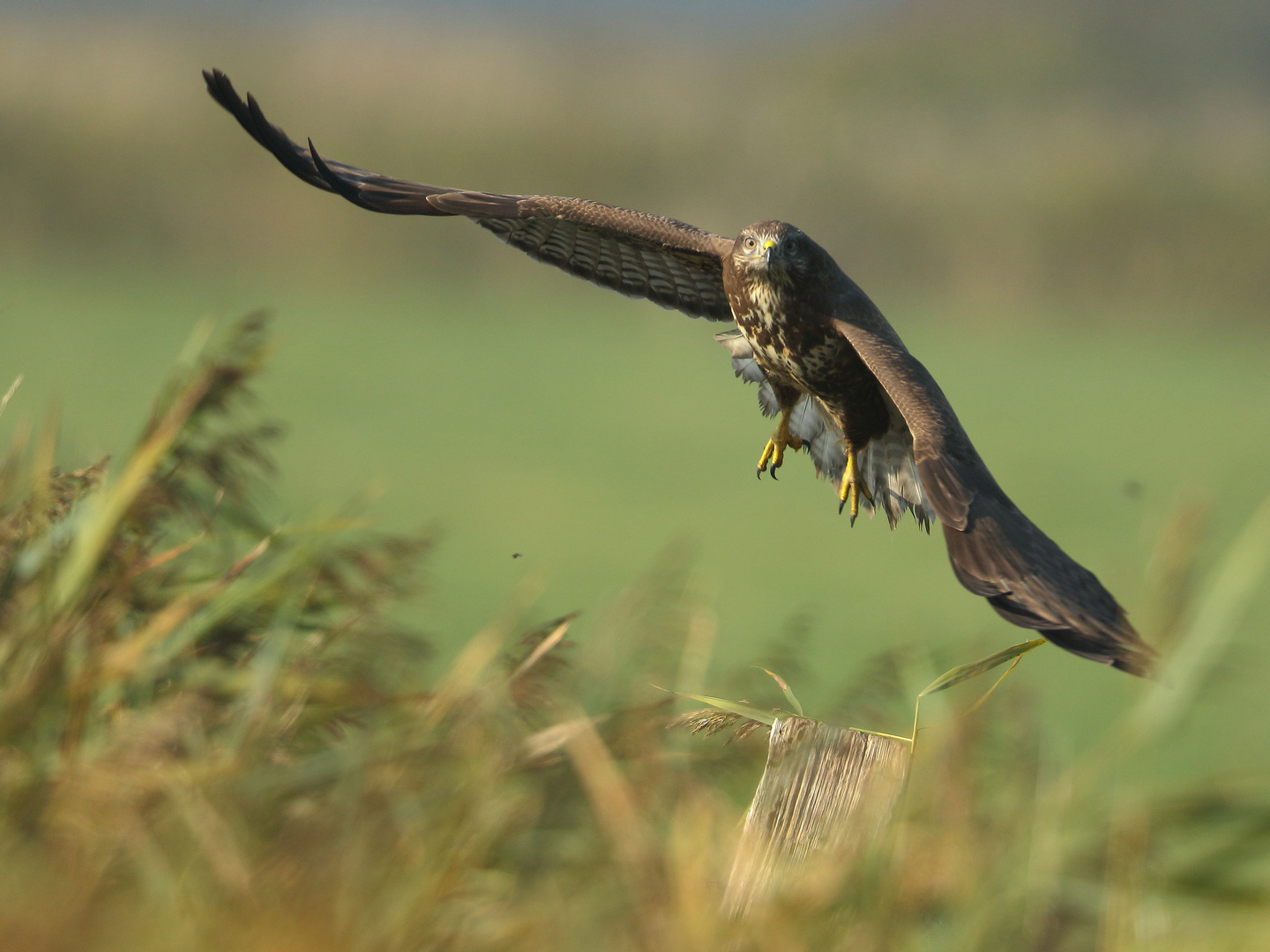 Der Abflug II