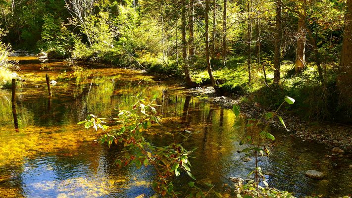 Der Abfluss des Ödensees