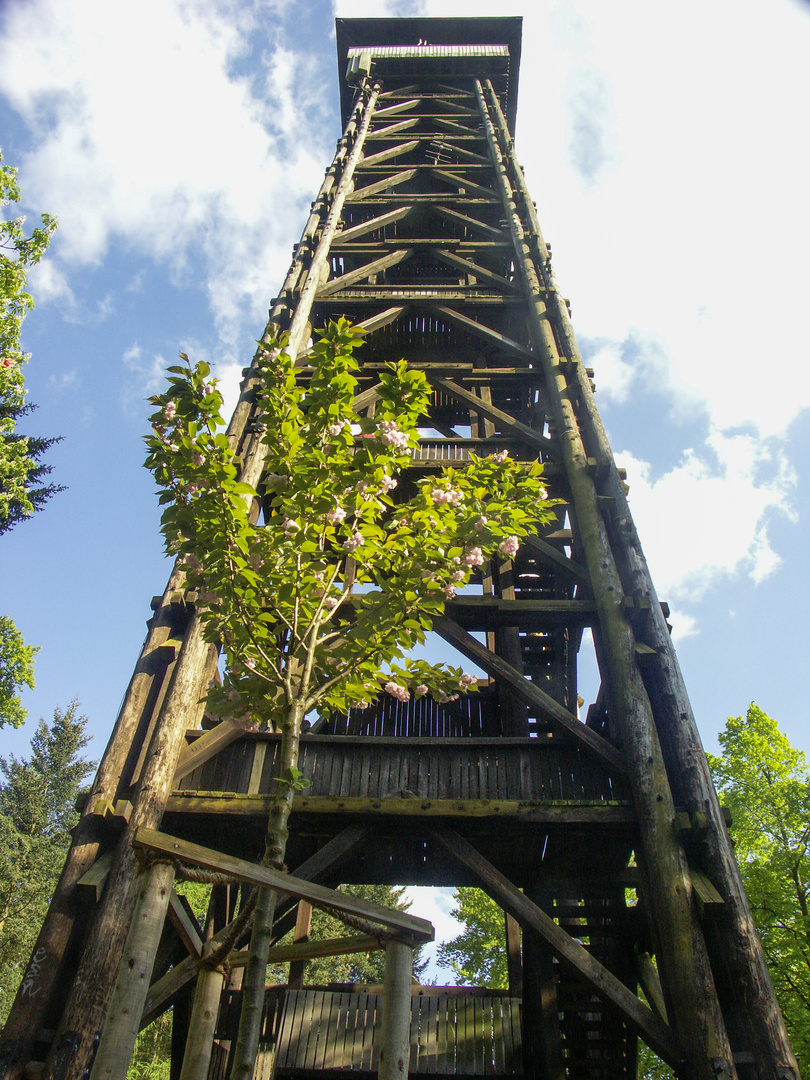 Der abgefackelte Goetheturm