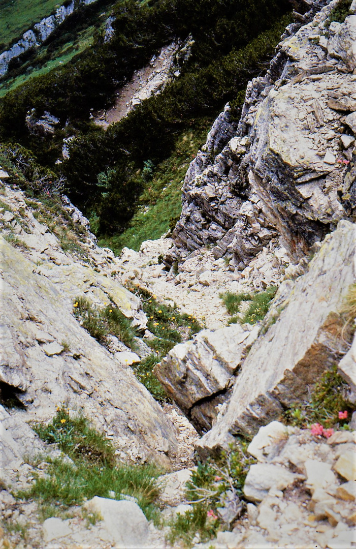 Der Abgrund - Eine tiefe Schlucht die einige 100 m tief in den Abgrund geht