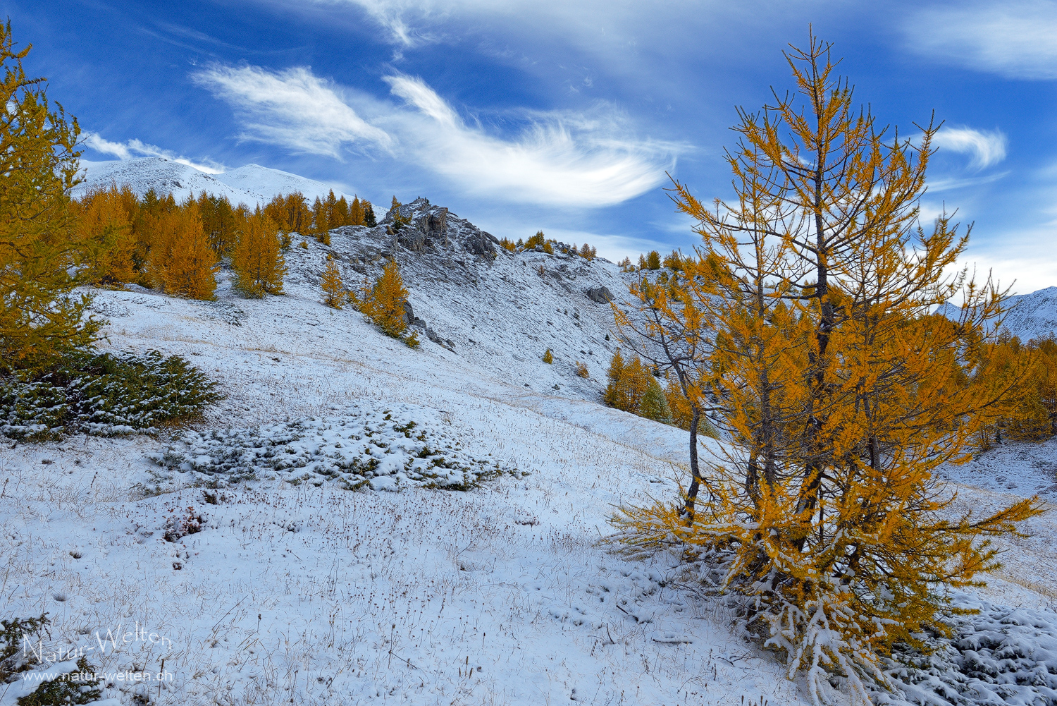 Der Abschied vom Herbst