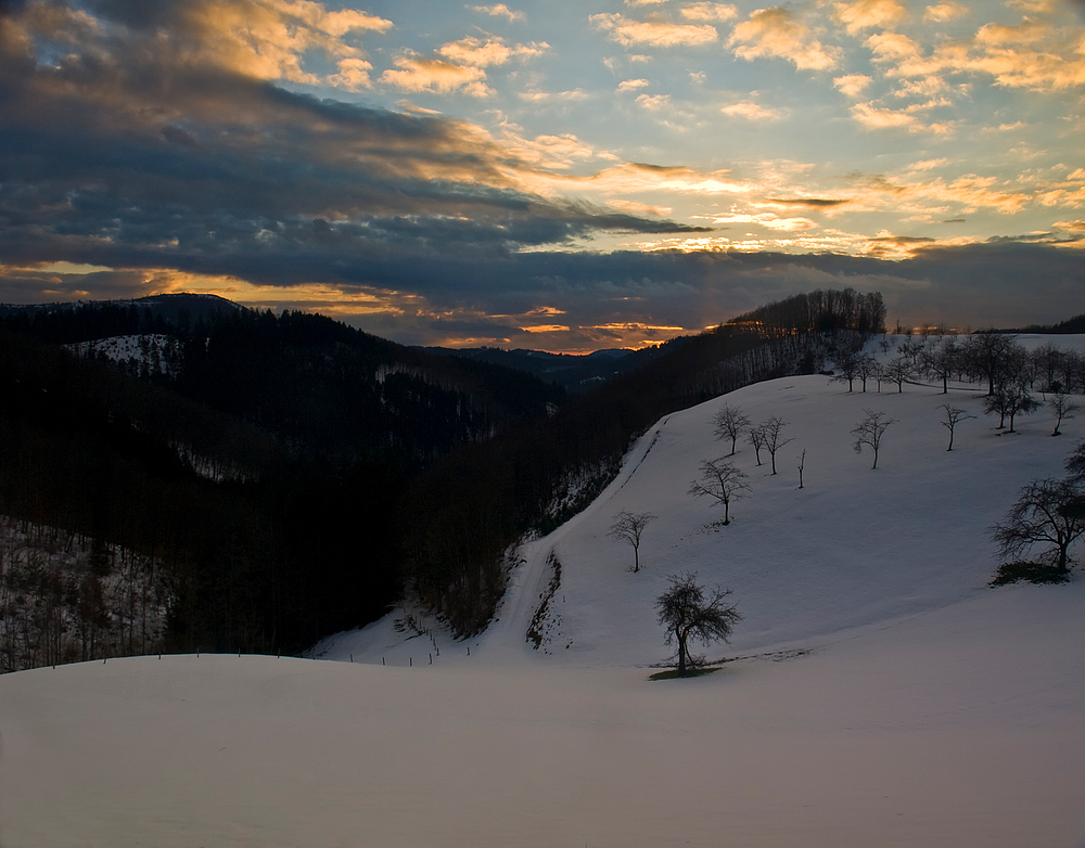 Der Abschied vom Winter