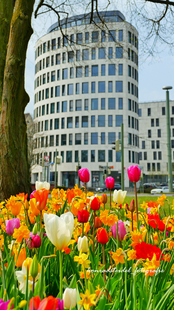  Der Adenauer Platz in Bielefeld