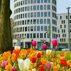  Der Adenauer Platz in Bielefeld