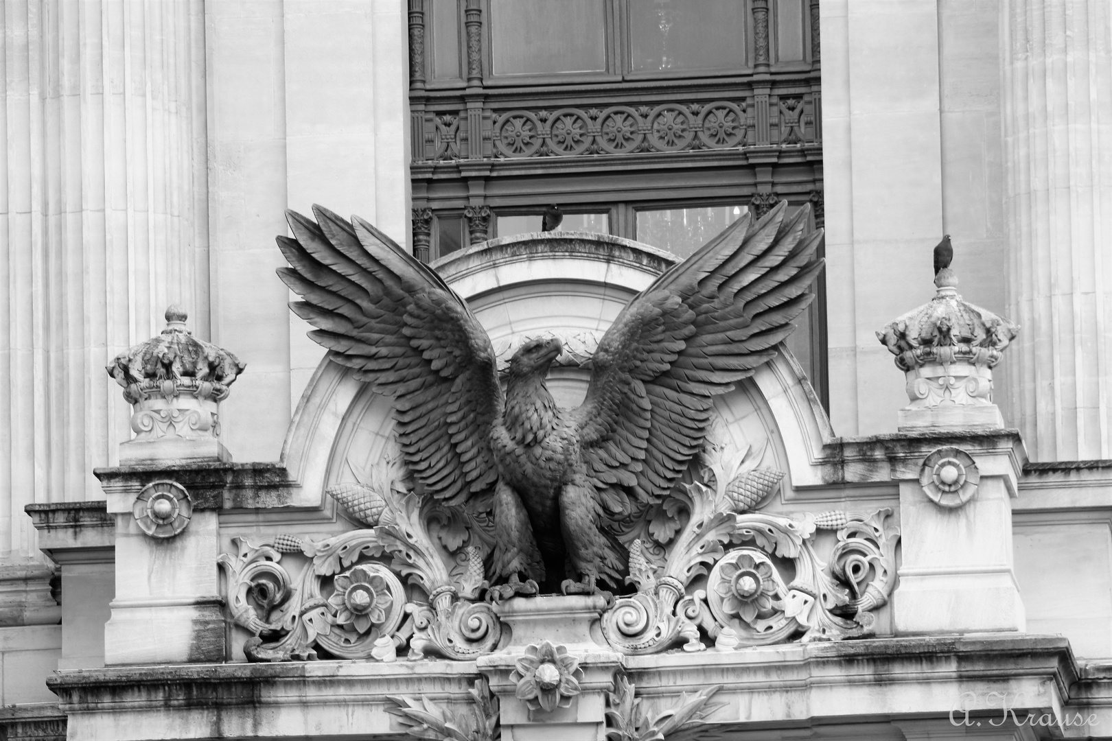 Der Adler