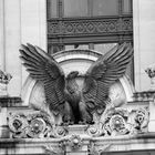 Der Adler