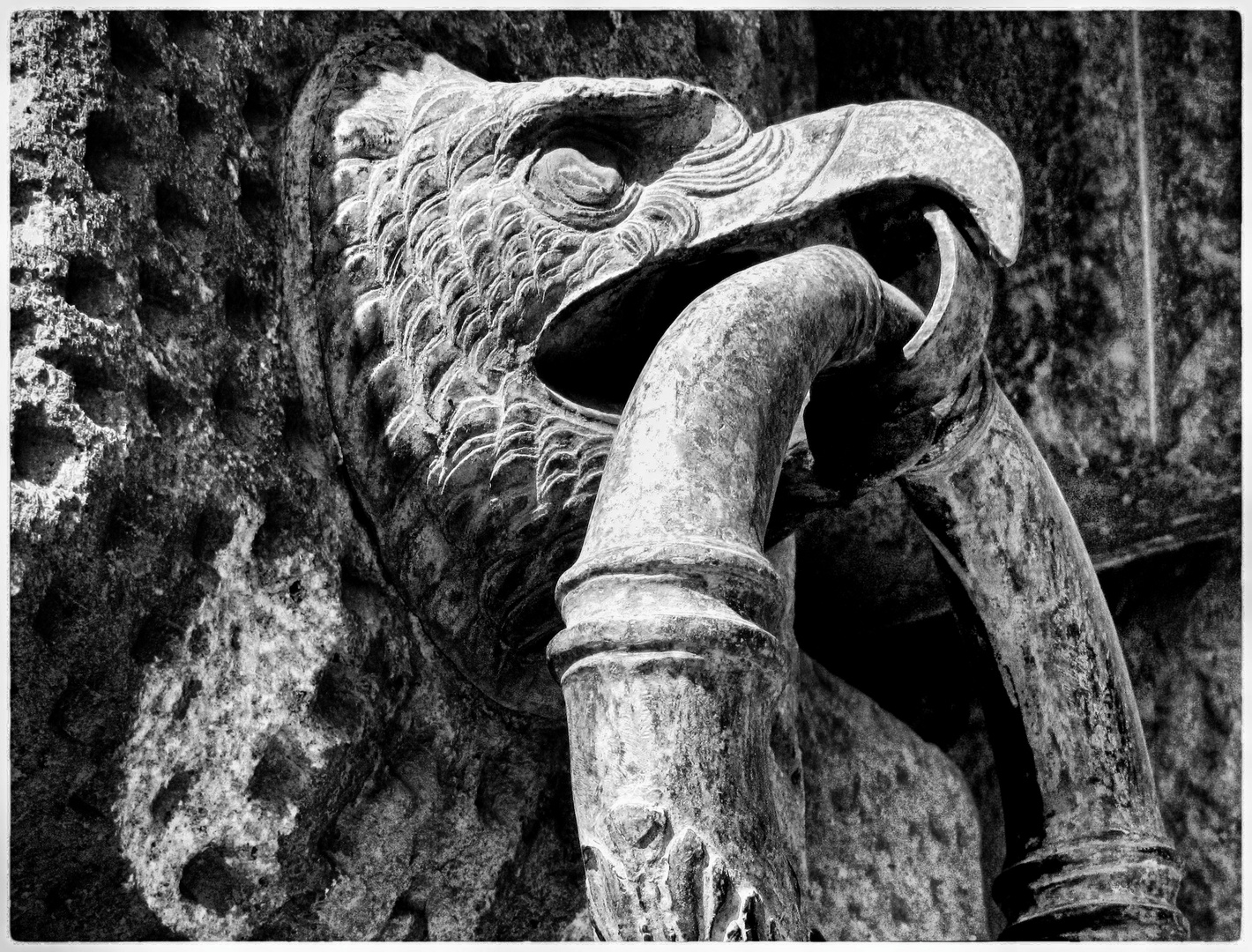 der Adler Foto & Bild architektur, projekte, architektonische details