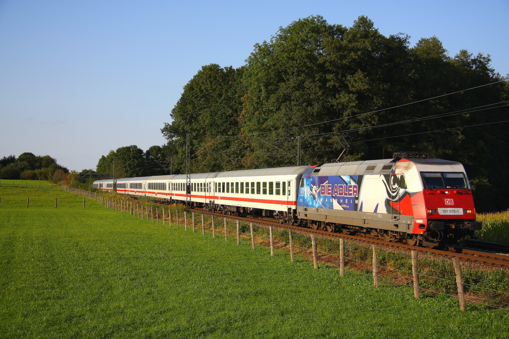 Der Adler auf dem Weg nach Österreich