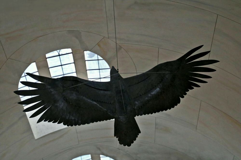 Der Adler Foto & Bild fotos, spezial, dokumentation Bilder auf