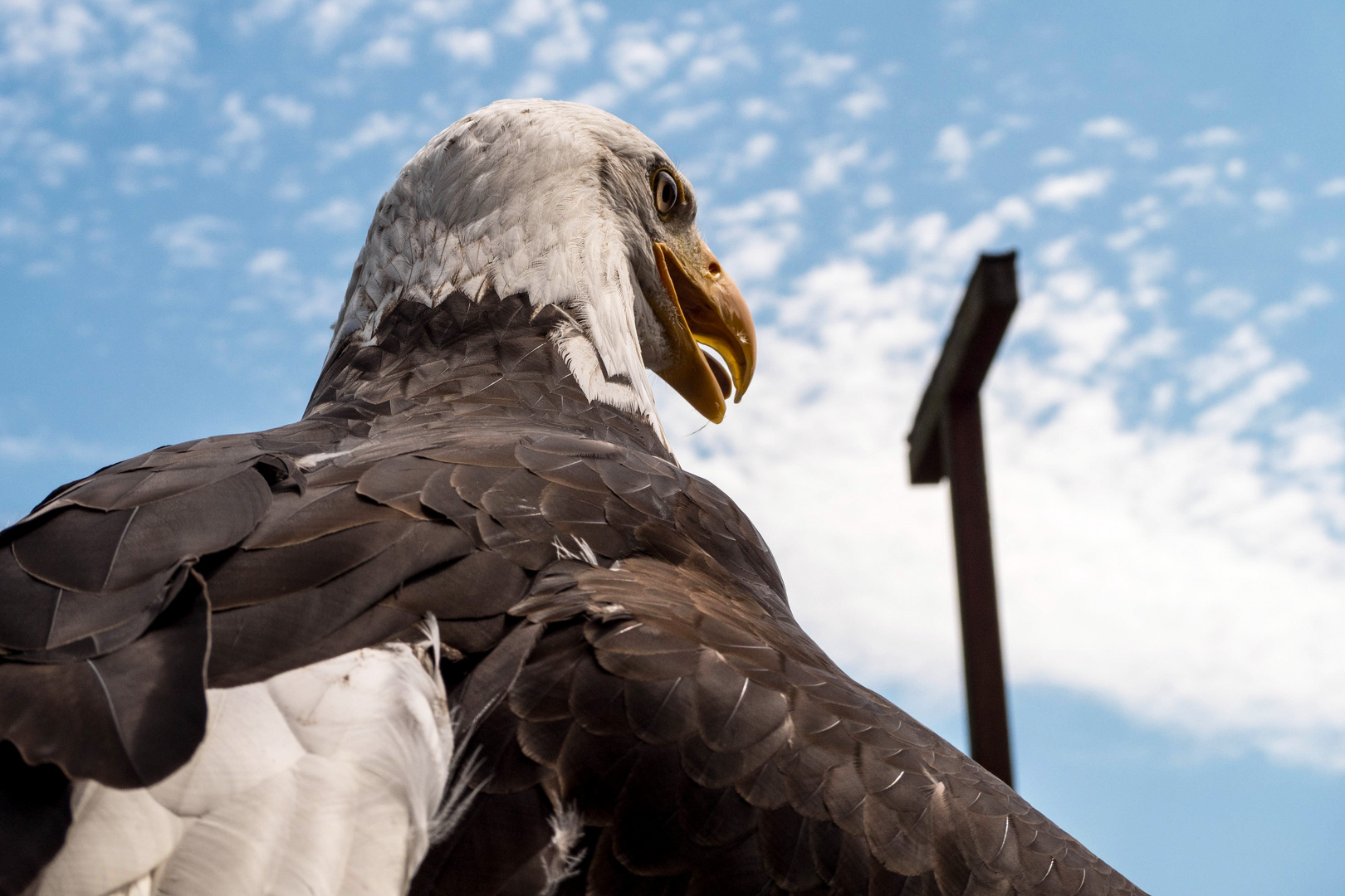 Der Adler ist gelandet!