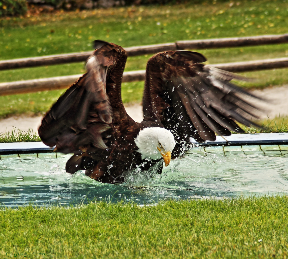 Der Adler ist gelandet