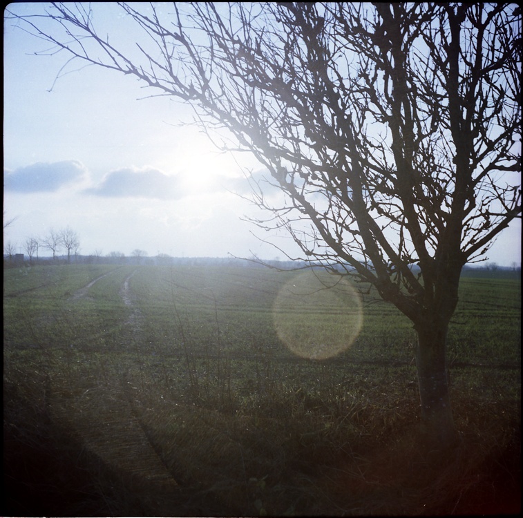 Der Adox Golf ihr kleines Weihnachtswunder! :-)