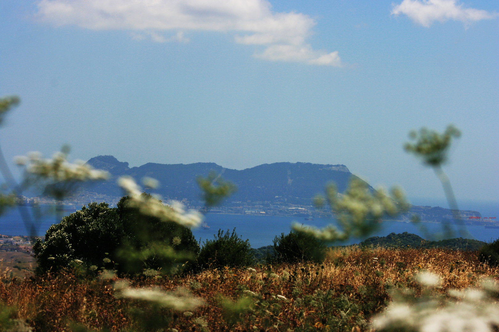 DER AFFENFELSEN GIBRALTAR