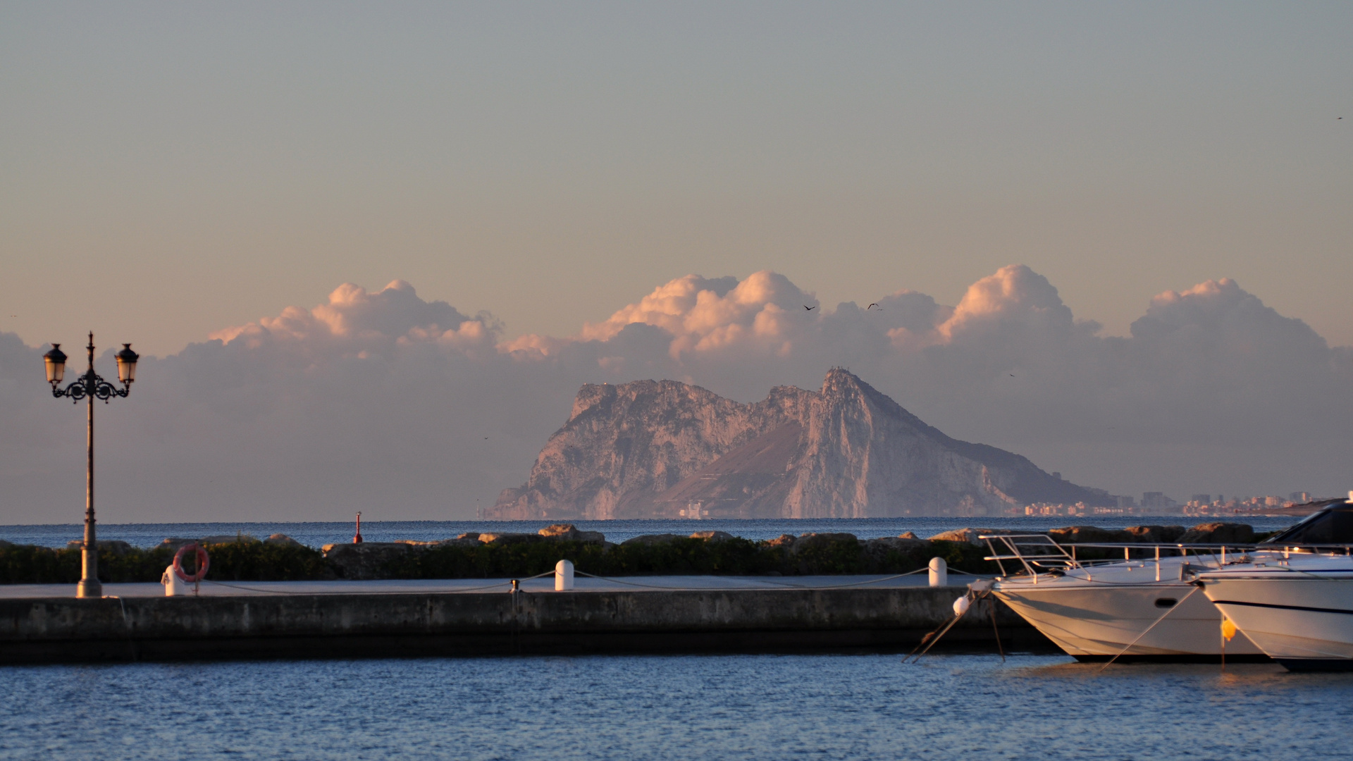 Der Affenfelsen von Gibraltar