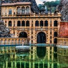 Der Affentempel von Jaipur