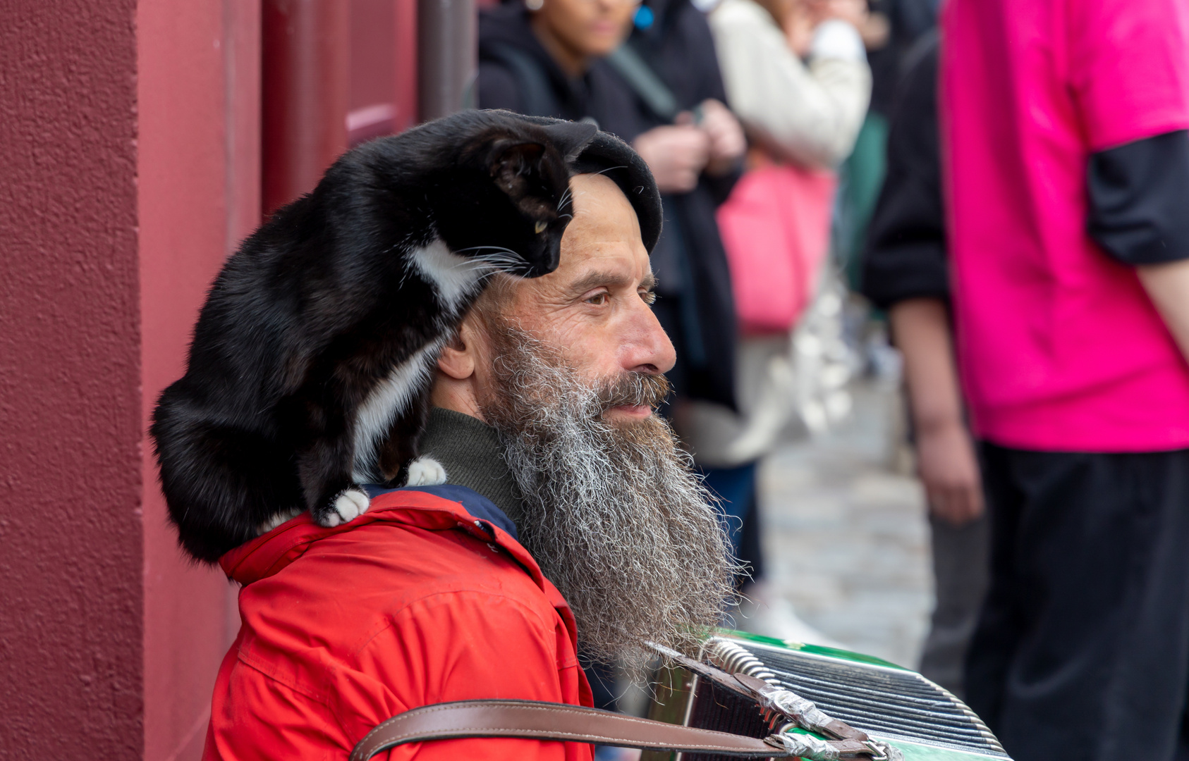 Der Akkordeon-Spieler und die Katze, Paris