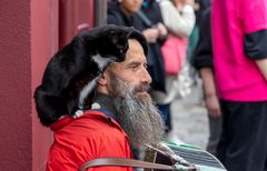 Der Akkordeon-Spieler und die Katze, Paris