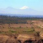 Der aktive Vulkan Cotopaxi (Ecuador) - Paradebeispiel für einen Vulkan