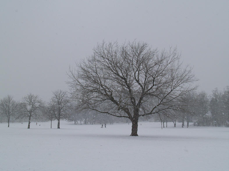 der Alaunpark in Dresden-Neustadt