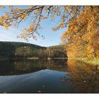 der albertsee am 16. november 2006