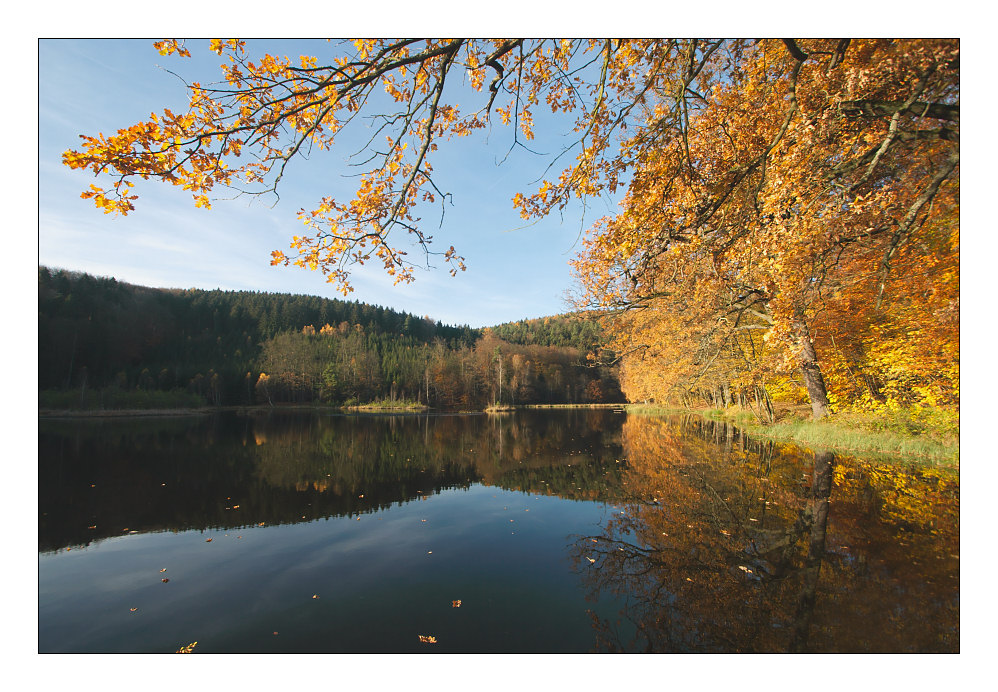 der albertsee am 16. november 2006