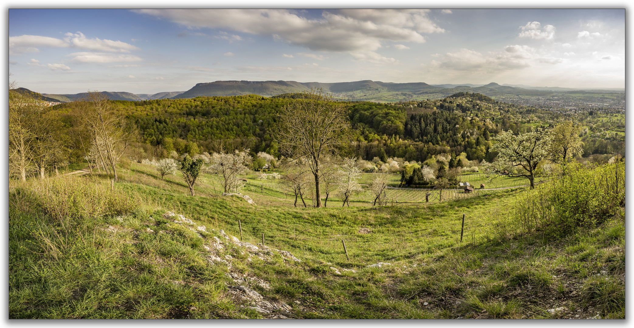 Der Albtrauf im Frühling