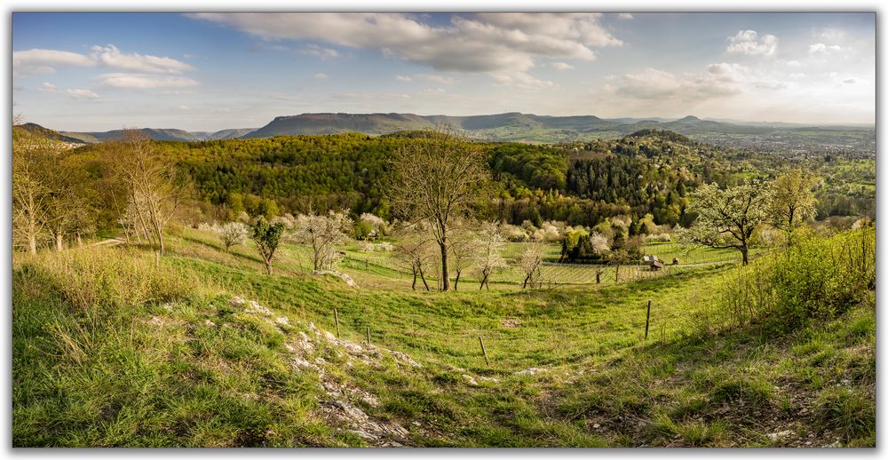 Der Albtrauf im Frühling