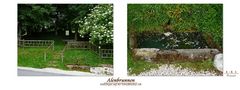 "Der Alenbrunnen* bei Münsingen"