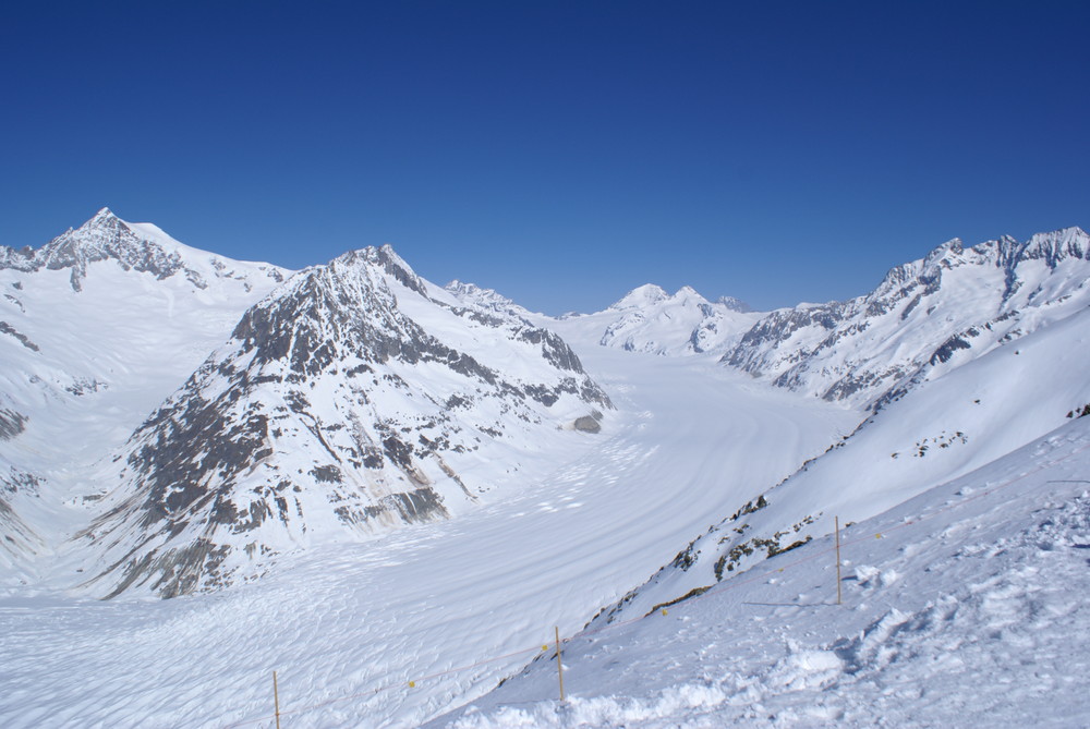 Der Aletschgletscher