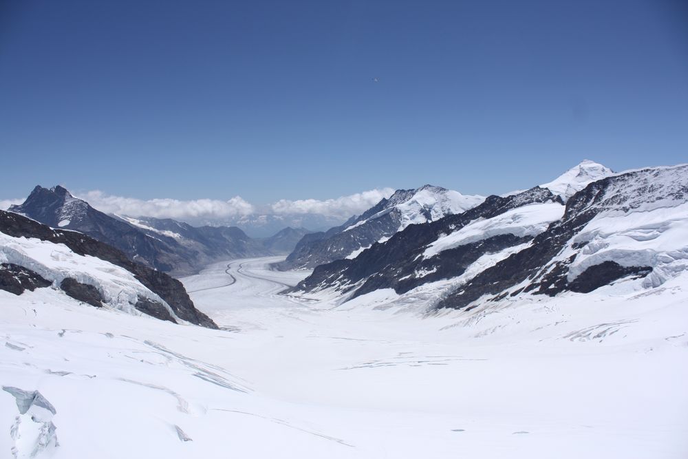 Der Aletschgletscher