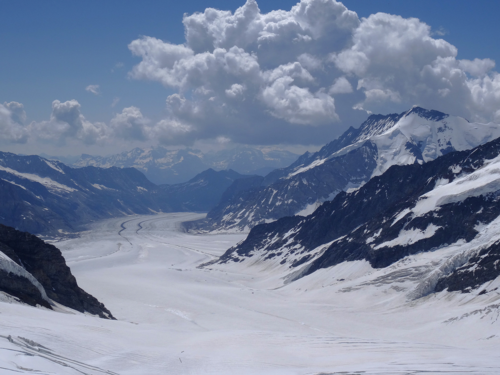 Der Aletschgletscher vom Jungfraujoch gesehen , Jungfraujoch Juli 2013