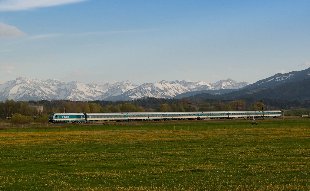 Der Alex im Allgäu