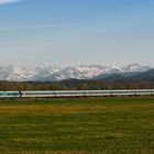 Der Alex im Allgäu